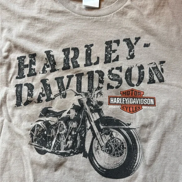 Harley-Davidson Men's Tan Graphic Long Sleeve Tee - Picture 2 of 6
